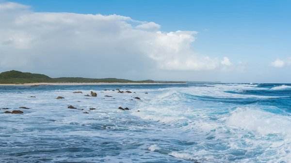 Quels sont les conseils pour une visite des châteaux de la Loire en France?
