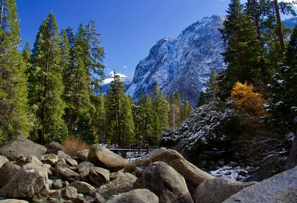 Quels sont les meilleurs itinéraires pour une randonnée en autonomie dans le parc national de Yosemite ?